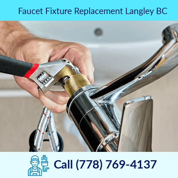 Faucet & Fixture Replacement in Langley, BC