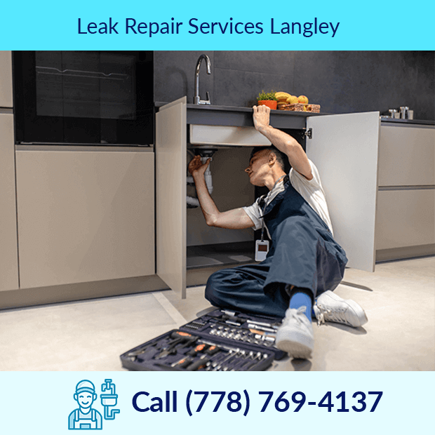 Leak Repair Services in Langley